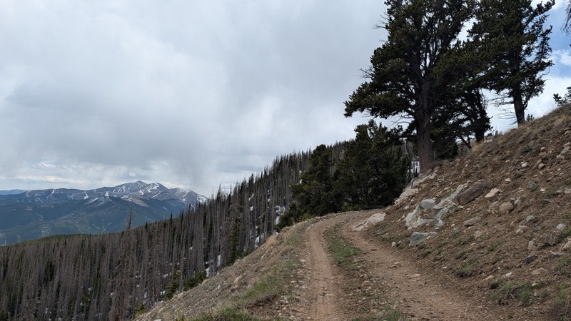 Taylor Mountain Trail Review Photo