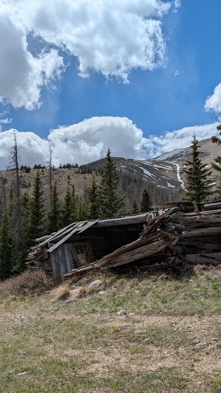 Taylor Mountain Trail Review Photo