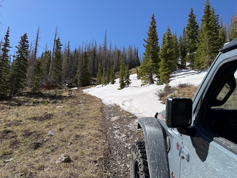 Taylor Mountain Trail Review Photo