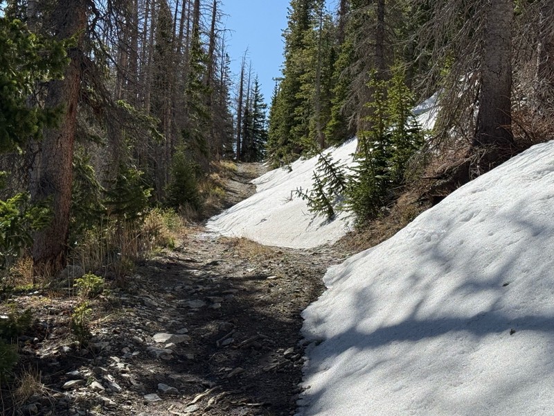 Taylor Mountain Trail Review Photo