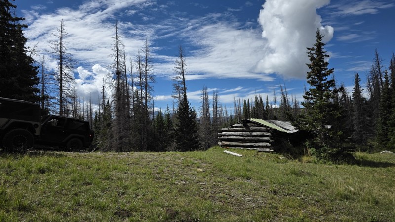 Taylor Mountain Trail Review Photo