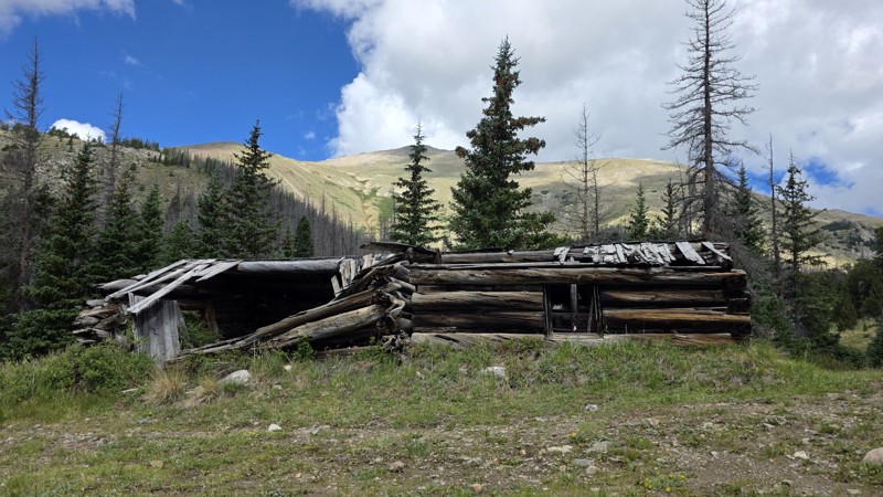 Taylor Mountain Trail Review Photo
