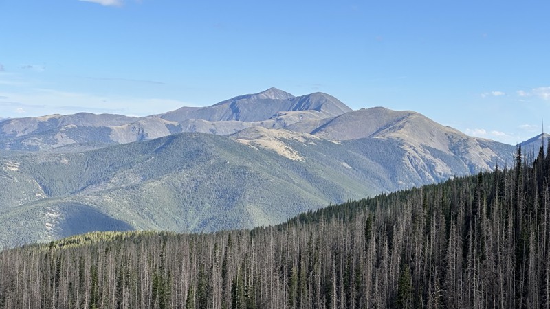 Taylor Mountain Trail Review Photo