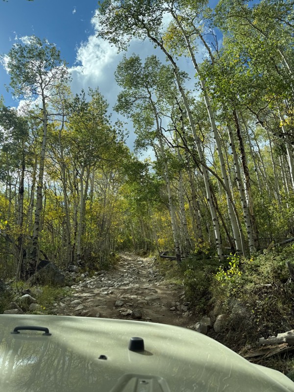 Taylor Pass Trail Review Photo