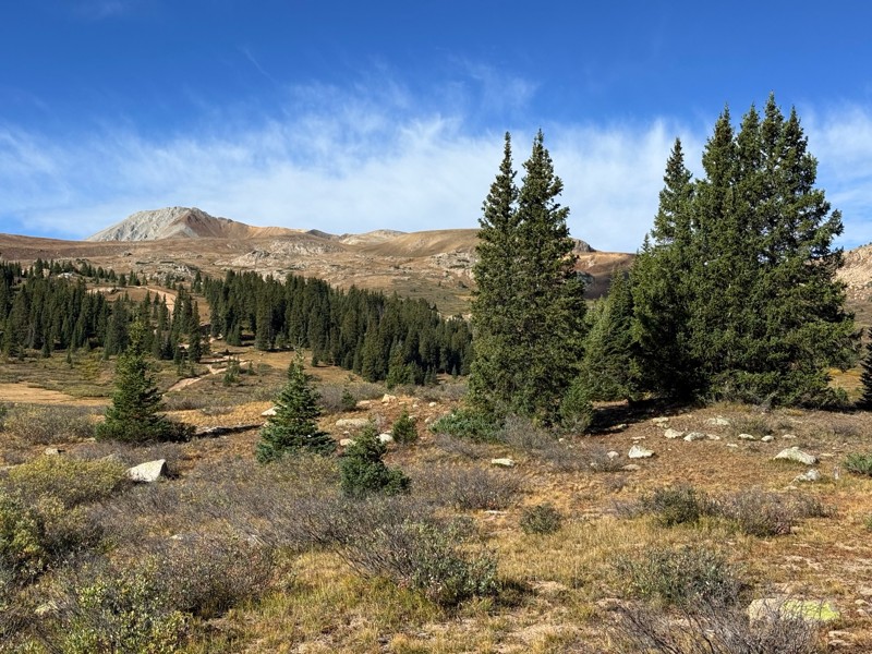 Taylor Pass Trail Review Photo