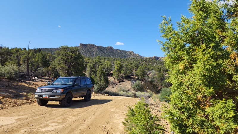 Smoky Mountain Road Trail Review Photo