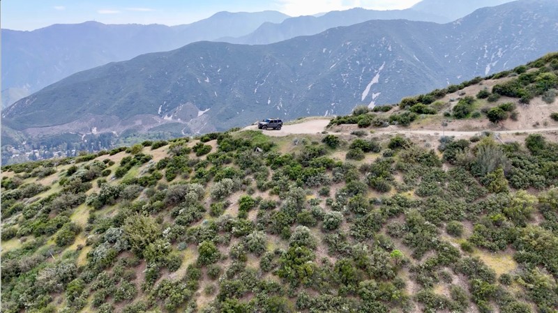 3N31Y - Upper Lytle Creek Divide Trail Review Photo