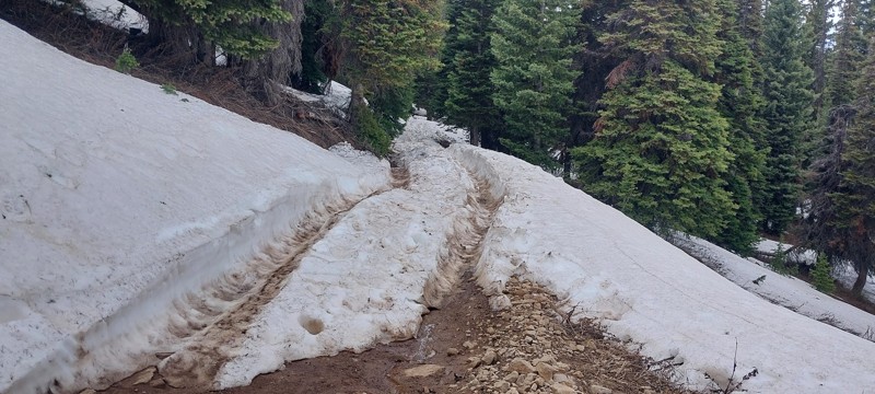Transfer Trail Trail Review Photo