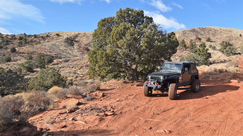 Utah: Gunlock Petroglyphs Hero Photo