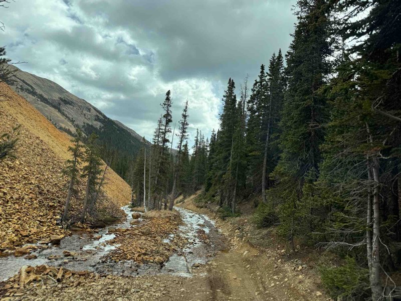 Webster Pass Trail Review Photo
