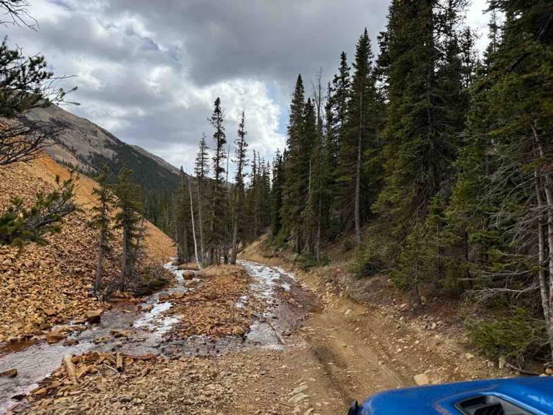 Webster Pass Trail Review Photo
