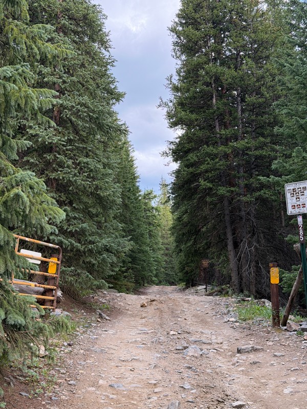 Webster Pass Trail Review Photo