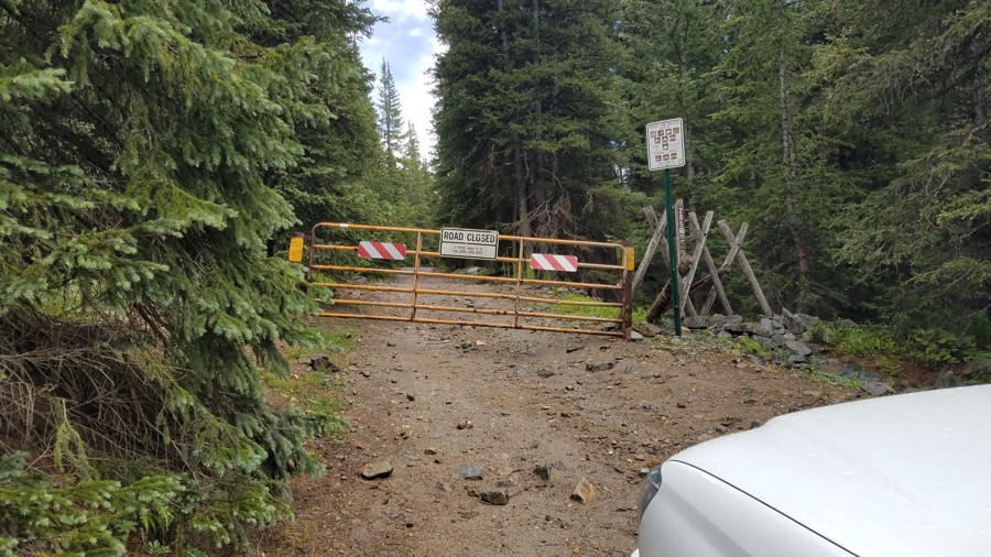 Trail Review: Webster Pass - Trint Ladd