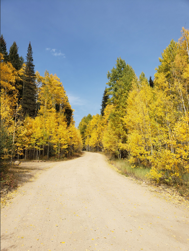 ster Pass Colorado Offroad Trail