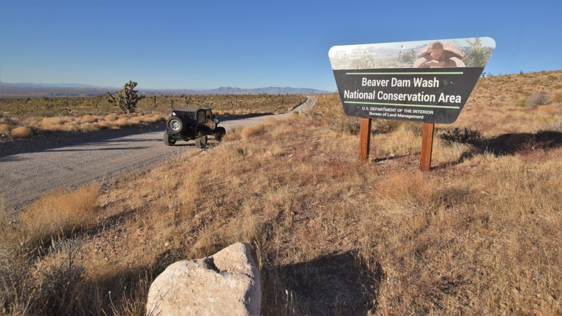 Nevada: Bull Valley Road Hero Photo