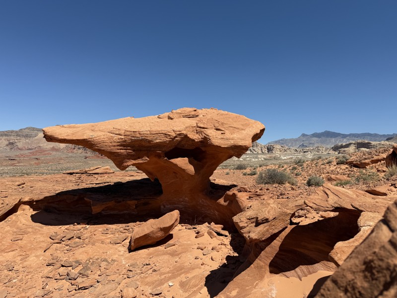 Little Finland Trail Review Photo