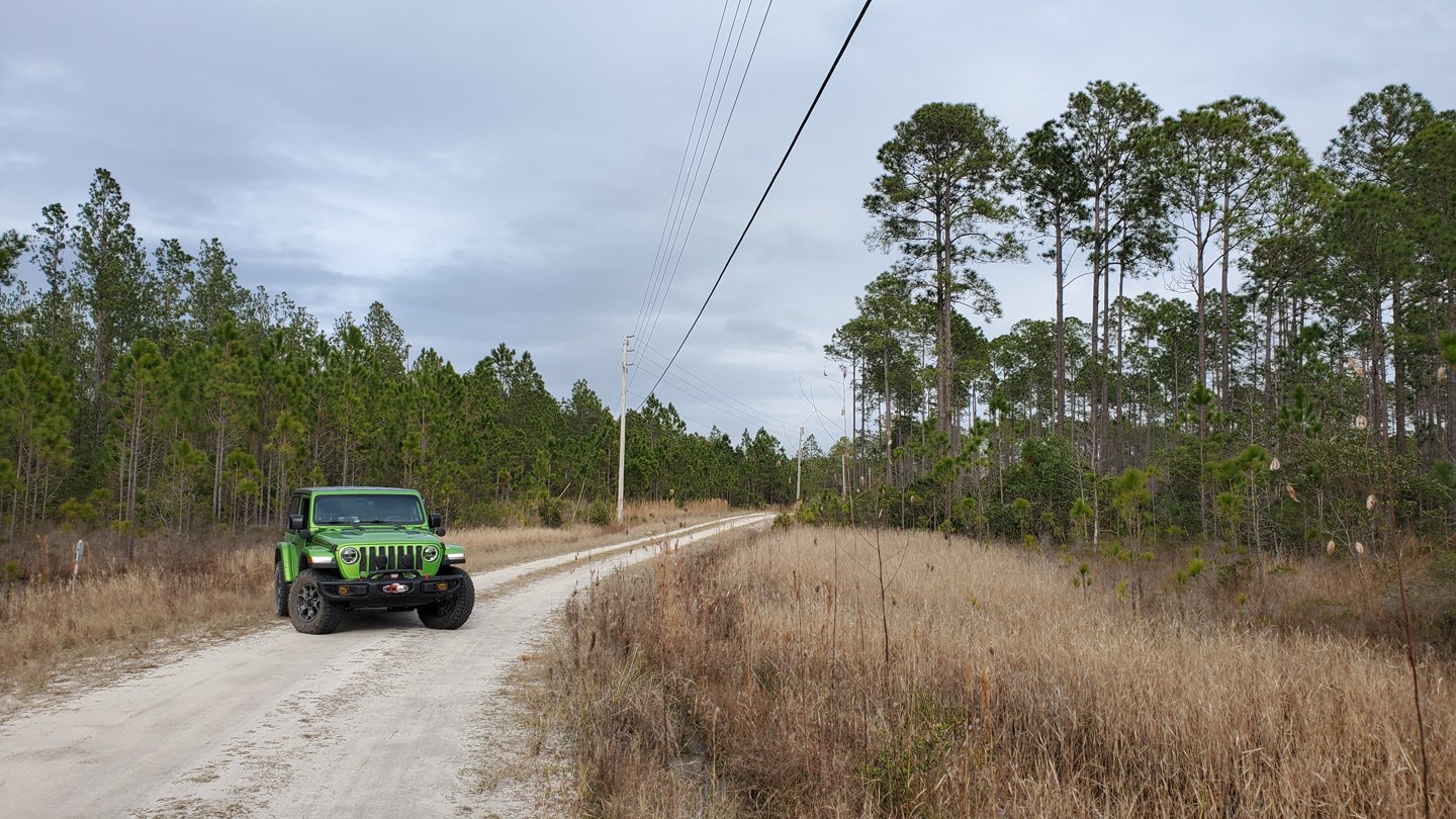 Tiger Bay State Forest - Bear Island Road - Best Trails