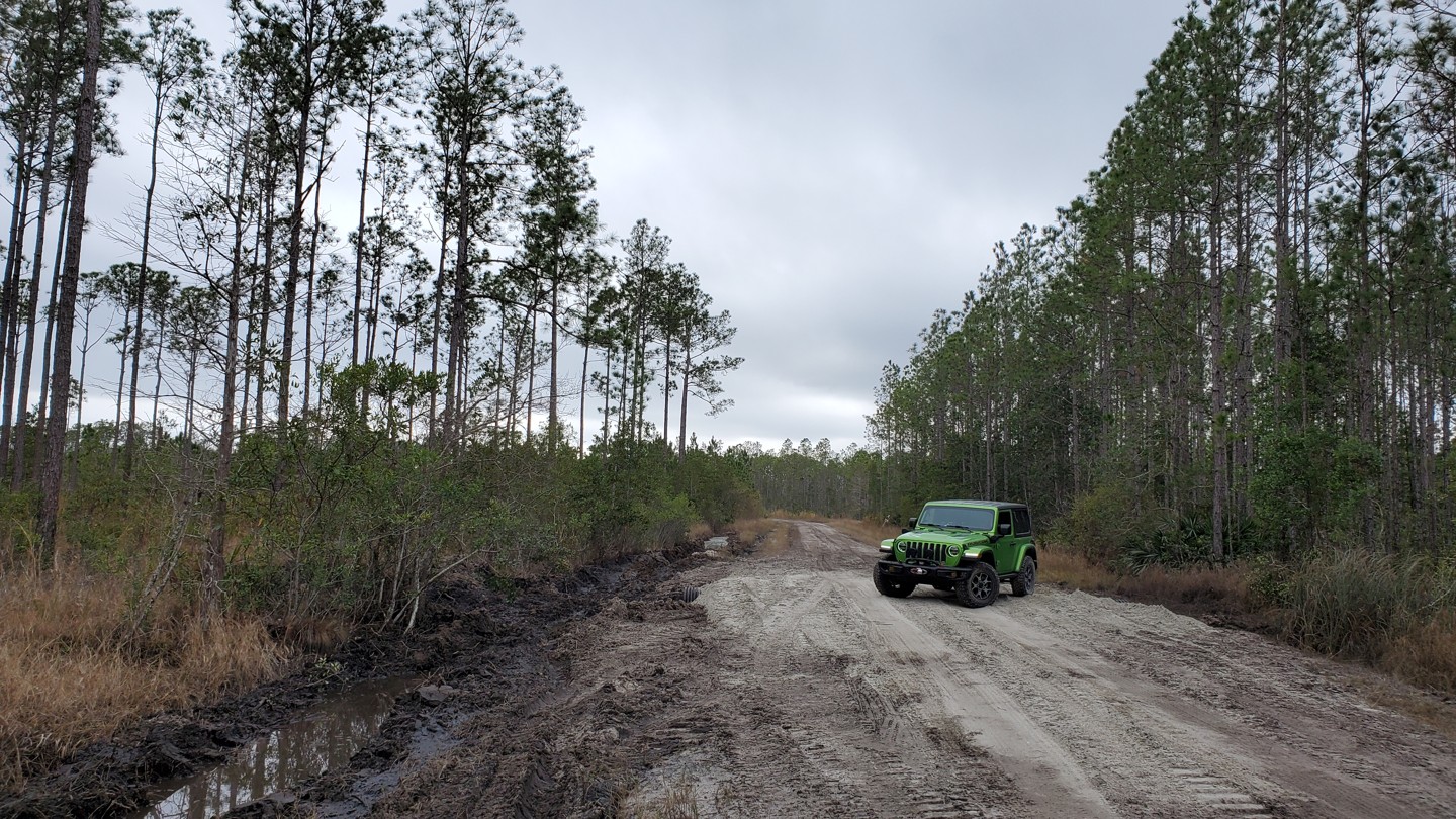 Tiger Bay State Forest - Gopher Ridge Road - Best Trails