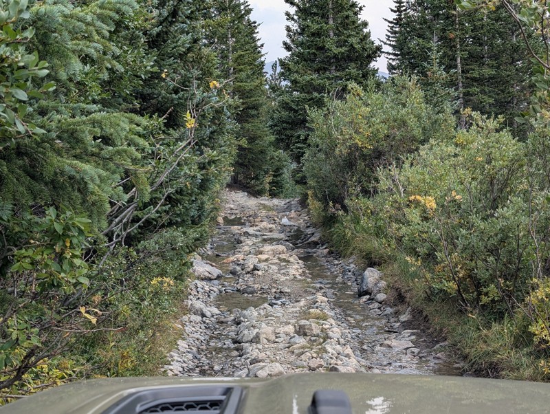 Wheeler Lake Trail Review Photo