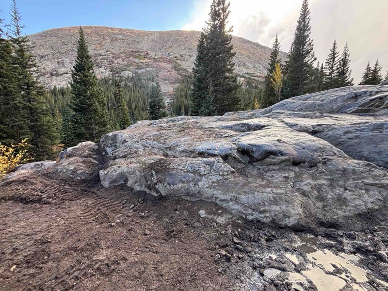 Wheeler Lake Trail Review Photo