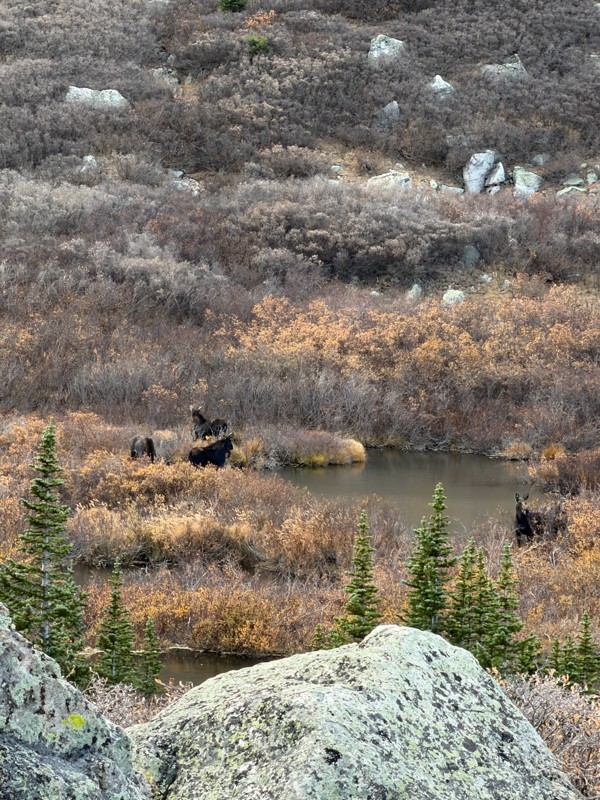 Wheeler Lake Trail Review Photo