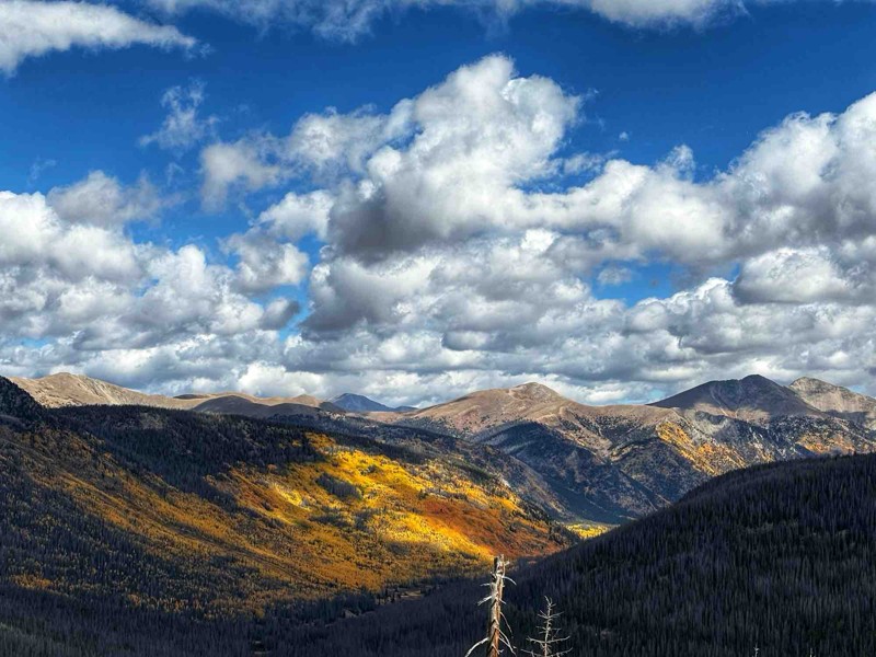 Williams Pass Trail Review Photo