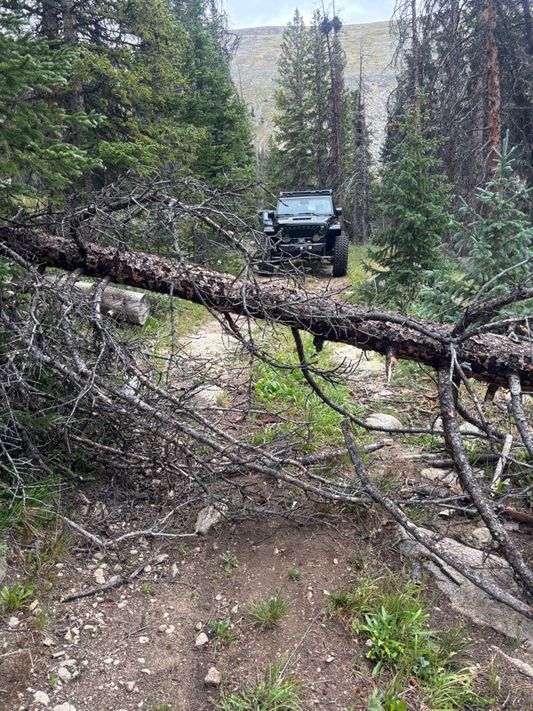 Williams Pass Trail Review Photo