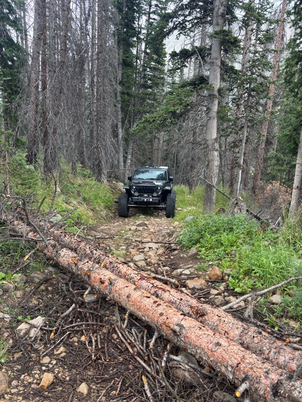 Williams Pass Trail Review Photo