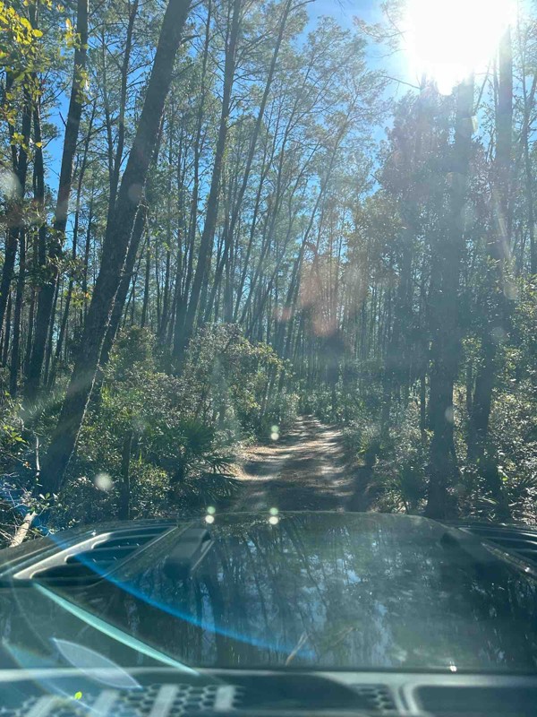 Tread Lightly! Four Wheel Drive Way Trail Review Photo