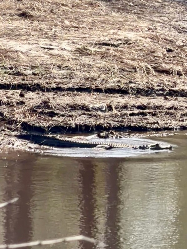 Tread Lightly! Four Wheel Drive Way Trail Review Photo