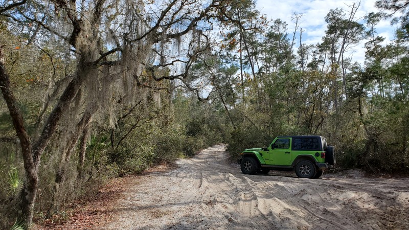 Tread Lightly! Four Wheel Drive Way - Waypoint 84: Forest Road 19-3.6 - Turn Right/South