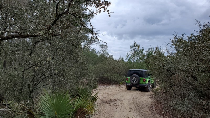 Tread Lightly! Four Wheel Drive Way - Waypoint 65: Unknown Trail - Turn Right/South