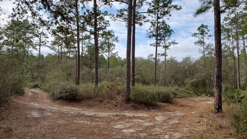 Tread Lightly! Four Wheel Drive Way - Waypoint 88: Fork - Keep Left/South