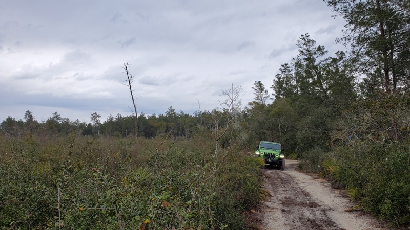 Tread Lightly! Four Wheel Drive Way - Waypoint 12: Unknown Trail - Turn Left/South