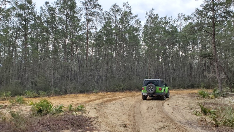 Tread Lightly! Four Wheel Drive Way - Waypoint 42: Forest Road 50-4.8 - Turn Right/South