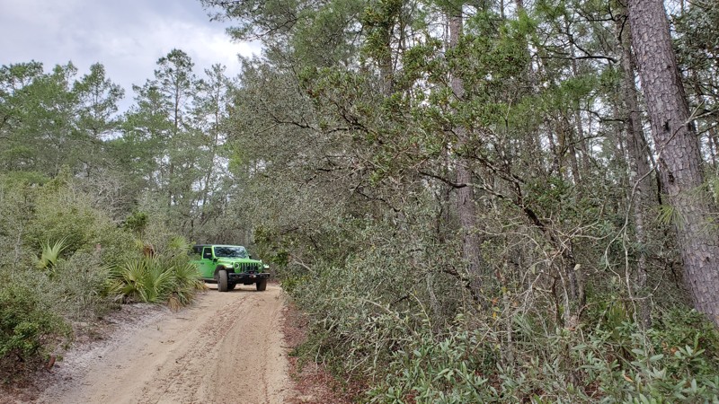 Tread Lightly! Four Wheel Drive Way - Waypoint 64: Unknown Trail - Turn Right/South