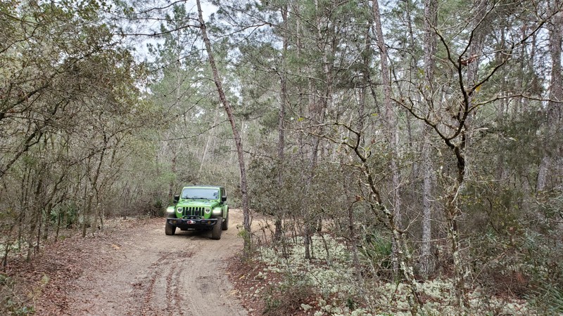 Tread Lightly! Four Wheel Drive Way - Waypoint 77: Intersection - Turn Right/North