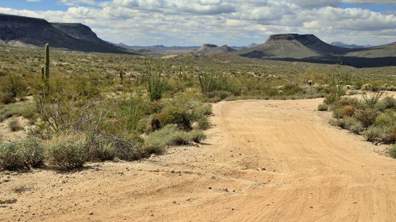 Arizona: TMRA 9991 Hero Photo