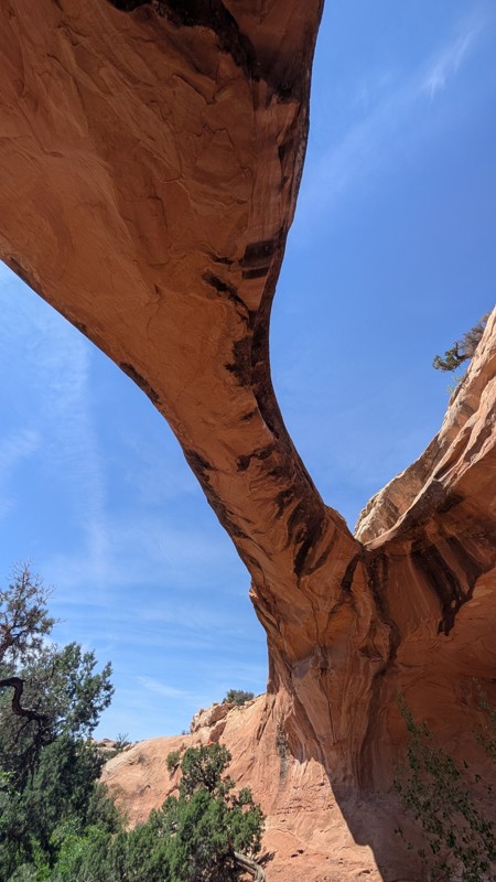 Sevenmile Rim Trail Review Photo