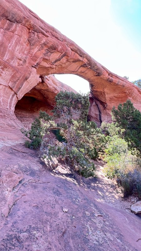 Sevenmile Rim Trail Review Photo