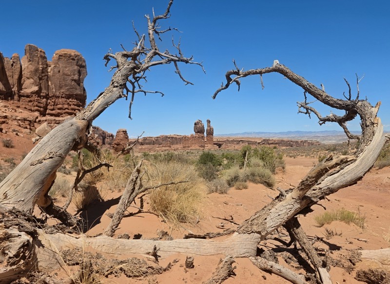 Sevenmile Rim Trail Review Photo