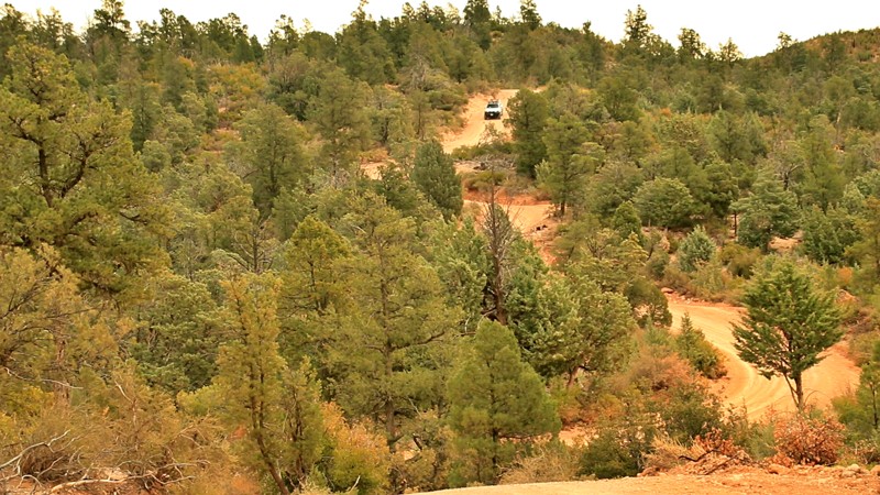 Arizona: Rye Cypress Hero Photo