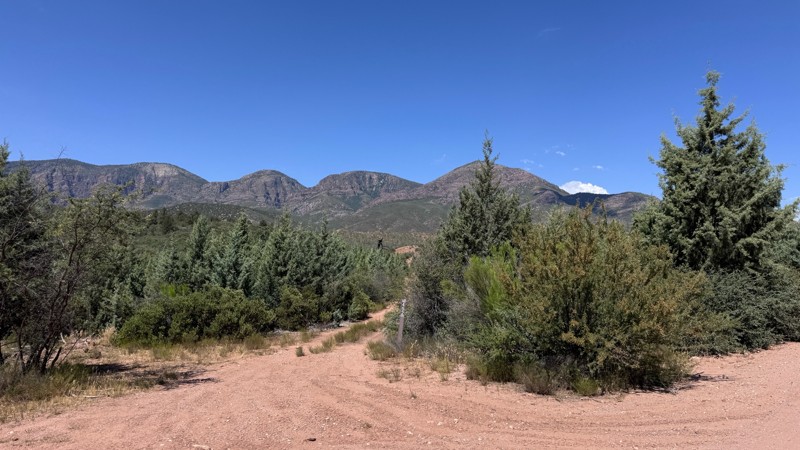Rye Cypress Trail Review Photo