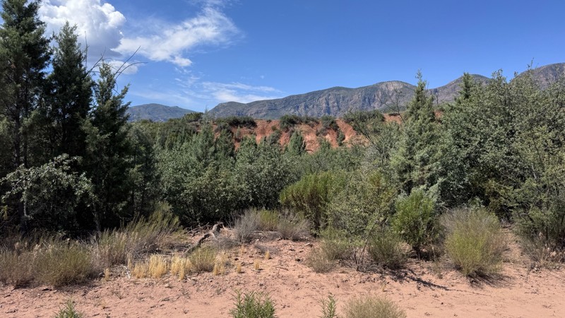 Rye Cypress Trail Review Photo