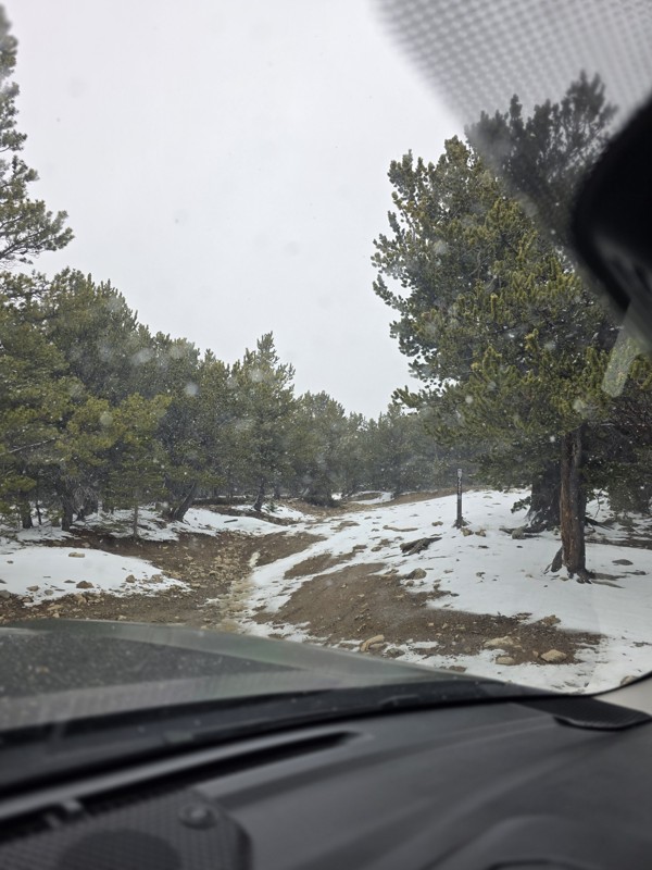 Yankee Hill Road Trail Review Photo