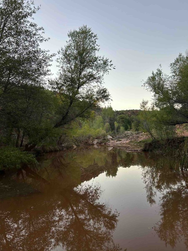 Crackerjack Trail Review Photo