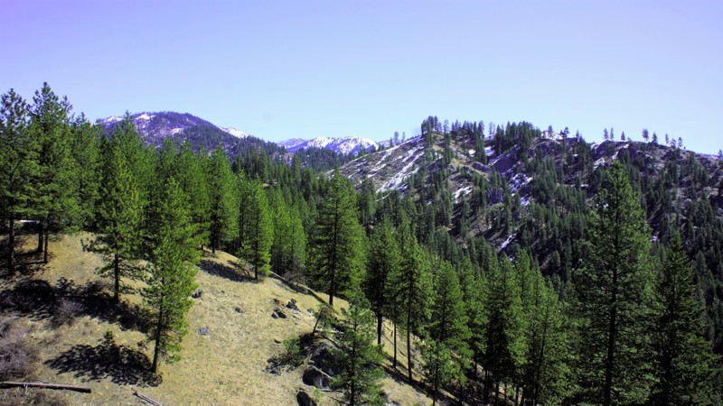 Idaho: Lightning Creek  Hero Photo