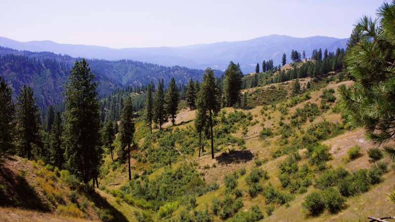 Idaho: Gooseberry Hero Photo