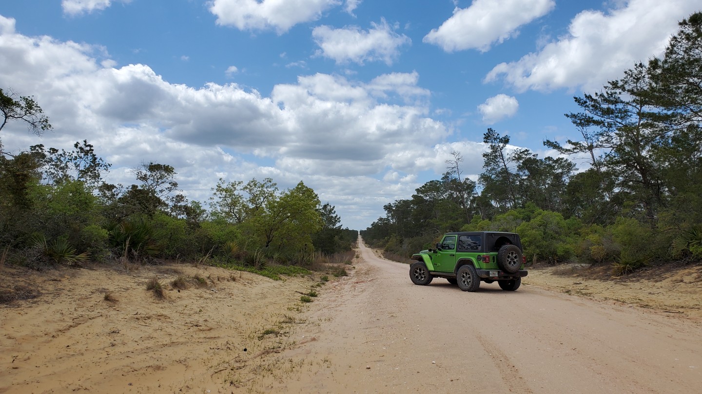 Ocala - Forest Road 30 - Best Trails