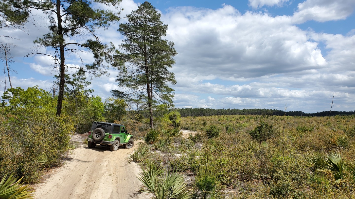 Ocala Forest Road 4014.2 Florida Offroad Trail